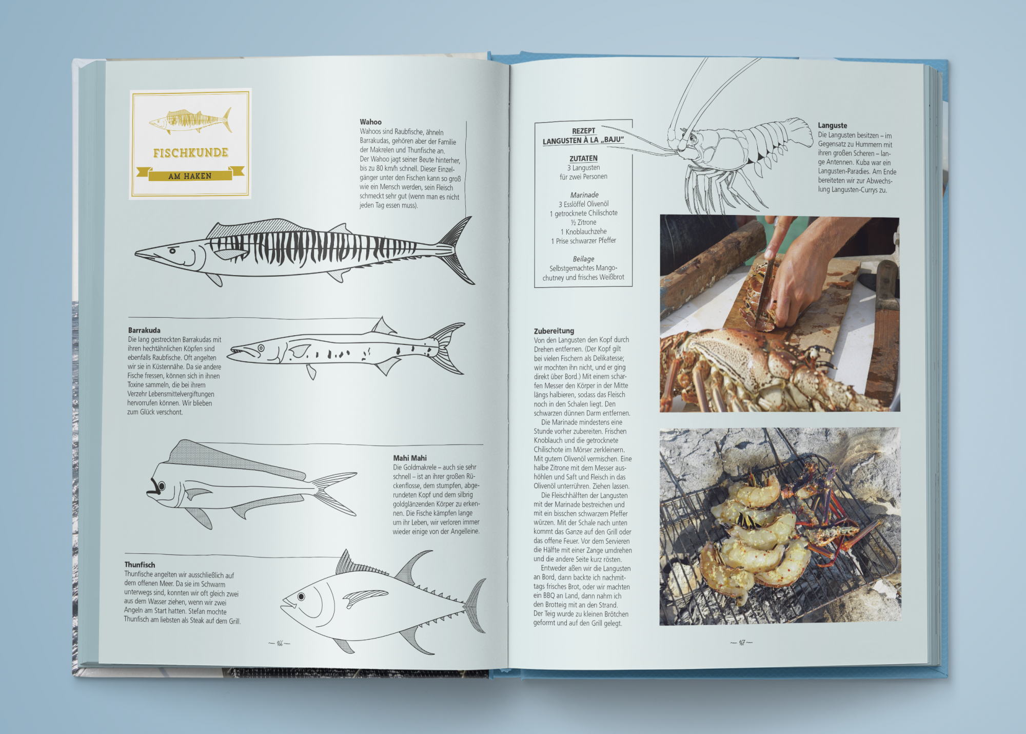 Art Direction | Grafikdesign Hamburg | Grafikdesigner | Editorial Design | Konzept | Buchgestaltung