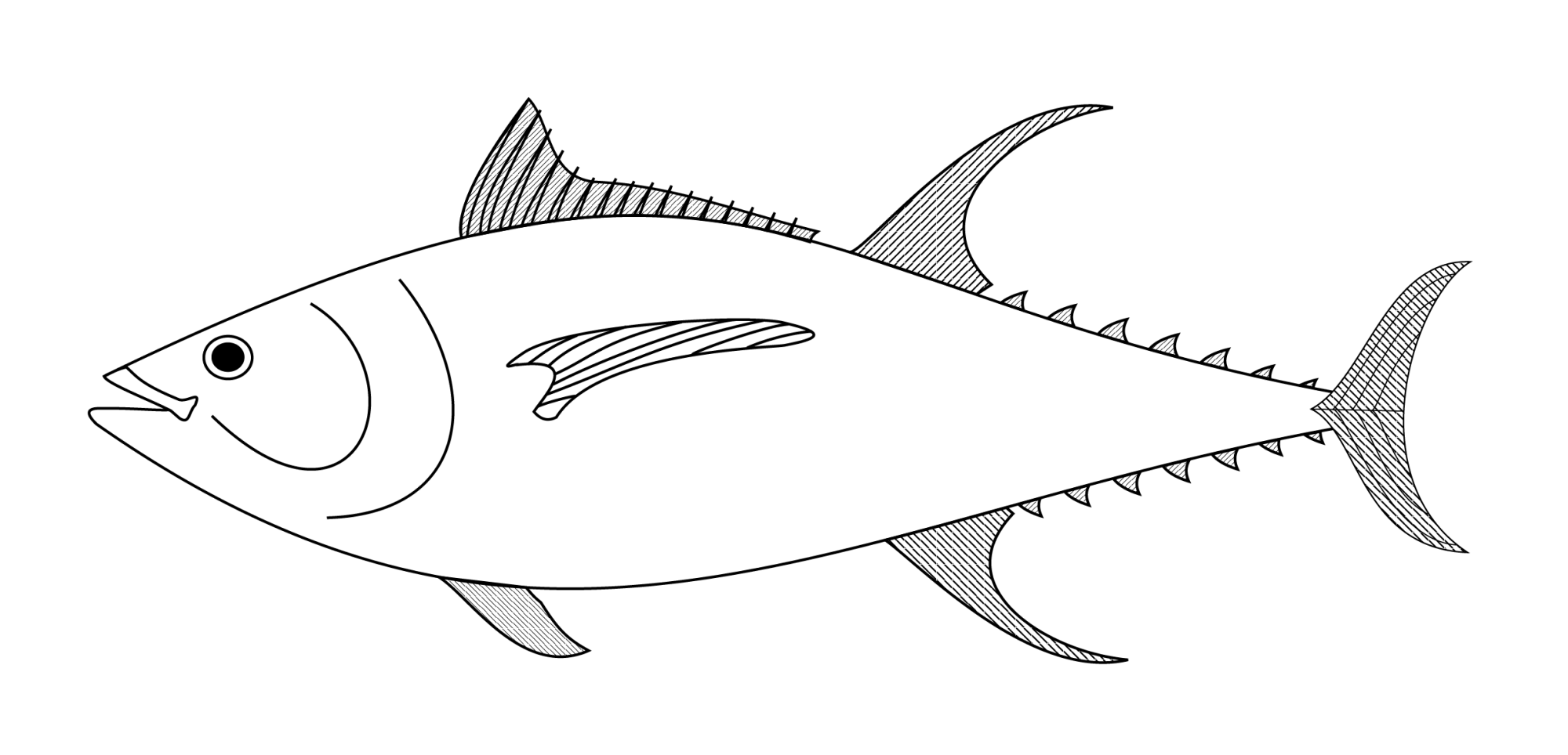 Art Direction | Grafikdesign Hamburg | Grafikdesigner | Editorial Design | Konzept | Buchgestaltung