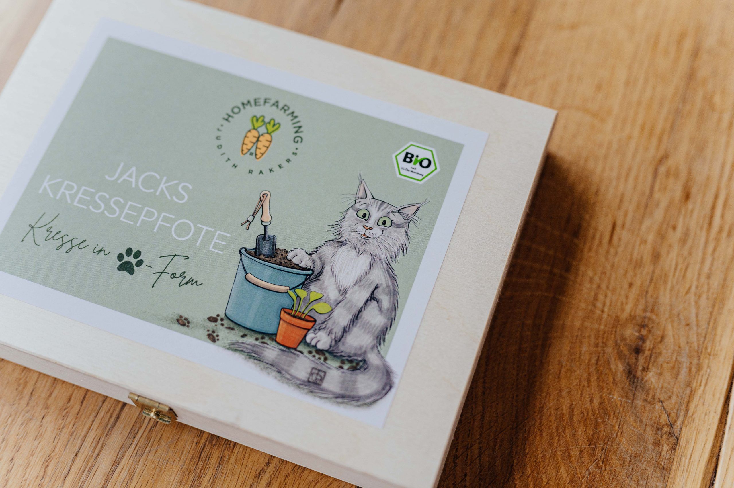 Art Direction | Grafikdesign Hamburg | Grafikdesigner | Editorial Design | Konzept | Buchgestaltung